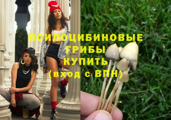амф Майский