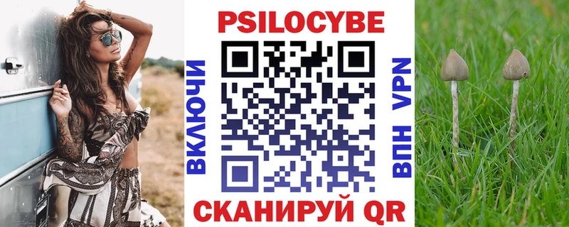 Галлюциногенные грибы мицелий  kraken ССЫЛКА  Александровское 